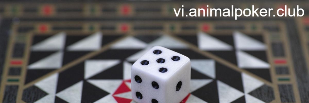 vi.animalpoker.club